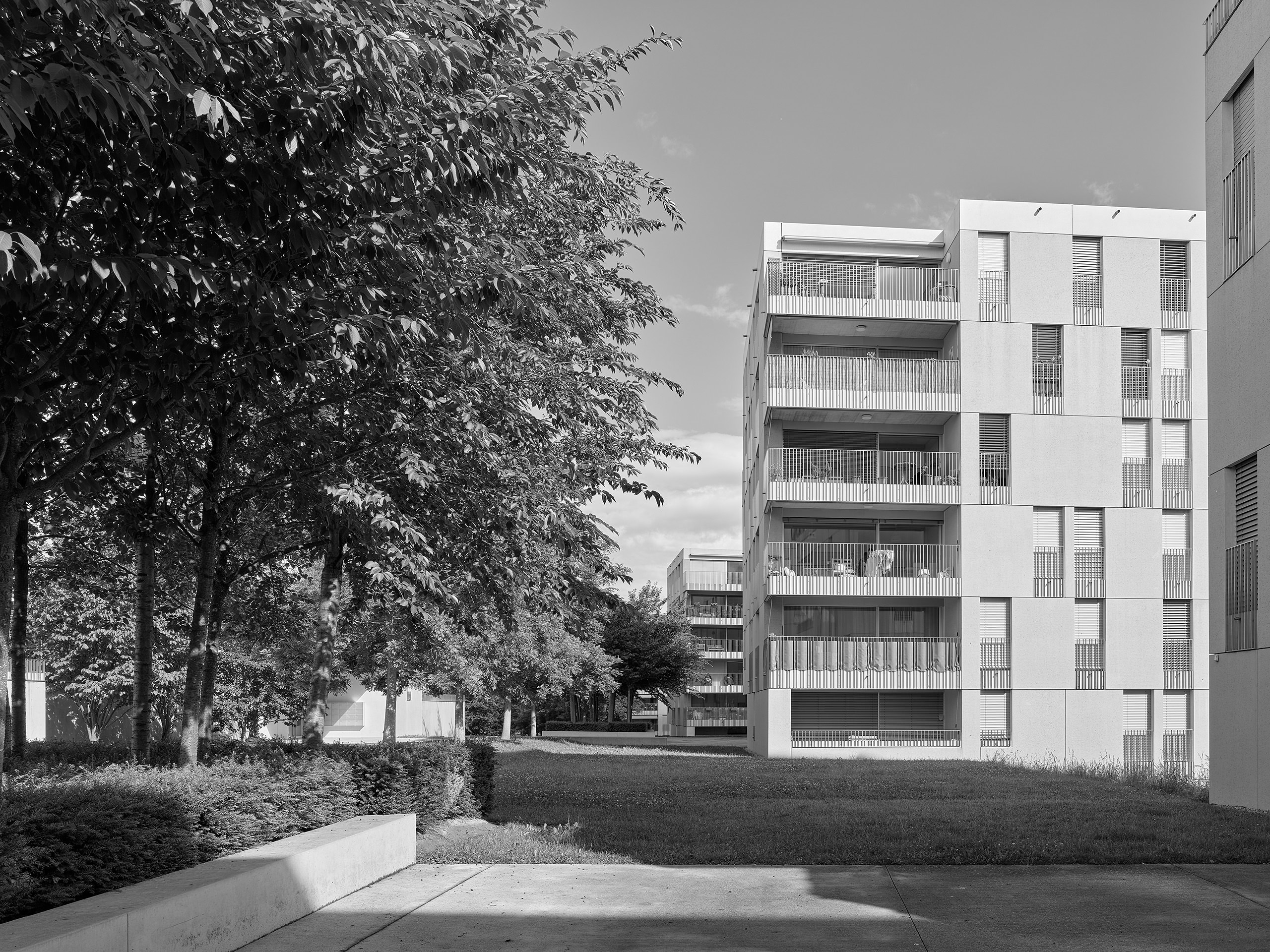 Brauen Wälchli · Quartier Jonchets, Bussigny